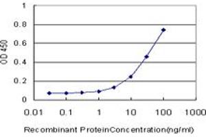 anti-Hyaluronan Binding Protein 2 (HABP2) (AA 105-204) antibody