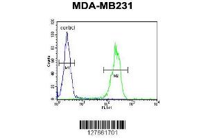 anti-Myb-Like, SWIRM and MPN Domains 1 (MYSM1) (AA 111-139), (N-Term) antibody