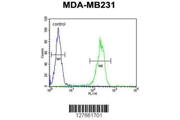 anti-Myb-Like, SWIRM and MPN Domains 1 (MYSM1) (AA 111-139), (N-Term) antibody