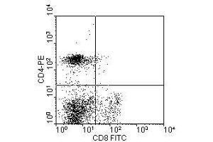 Image no. 1 for anti-CD8a Molecule (CD8A) antibody (PE) (ABIN135479)