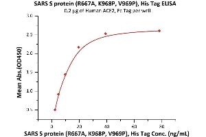 SARS-Coronavirus Spike Protein (SARS-CoV S) (AA 14-1195) (Active) protein (His tag)