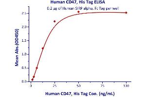 Immobilized Human SIRP alpha, Fc Tag  with a linear range of 1.