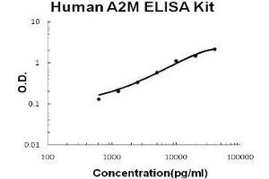 Image no. 1 for alpha-2-Macroglobulin (A2M) ELISA Kit (ABIN1672904)