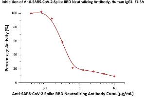 ELISA image for anti-SARS-CoV-2 Spike S1 antibody (ABIN6953206)