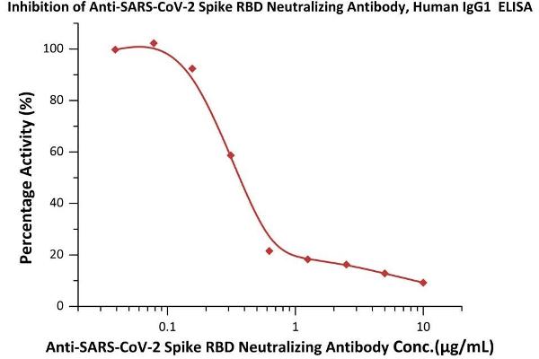 SARS-CoV-2 Spike S1 antibody