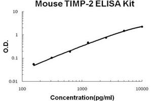 Mouse TIMP-2 PicoKine ELISA Kit standard curve