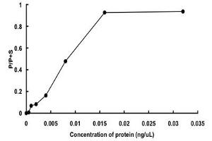 PAK3 Protein (PAK3) (AA 1-544) (GST tag)