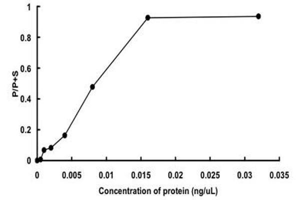 PAK3 Protein (PAK3) (AA 1-544) (GST tag)