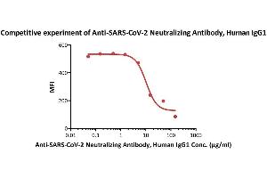 Image no. 7 for anti-SARS-CoV-2 Spike S1 (RBD) antibody (ABIN6952616)