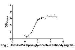 SARS-CoV-2 Spike S1 Protein (RBD) (His-SUMOstar Tag)