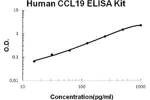 Human CCL19/MIP-3 beta Accusignal ELISA Kit Human CCL19/MIP-3 beta AccuSignal ELISA Kit standard curve.