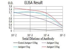 anti-ASF1 Anti-Silencing Function 1 Homolog B (ASF1B) (AA 1-202) antibody