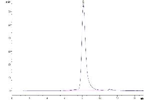 Phospholipase D4 Protein (PLD4) (His tag)