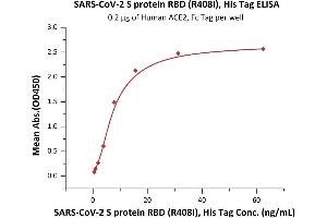 Sars Coronavirus 2 Sars Cov 2 Sars Cov 2 Spike S1 Protein His Tag Recombinant Abin6952633