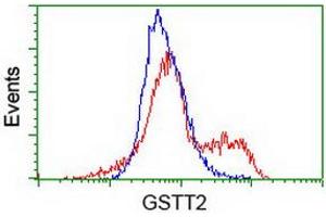 Image no. 3 for anti-Glutathione S-Transferase theta 2 (GSTT2) antibody (ABIN1498554)