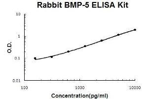 Image no. 1 for Bone Morphogenetic Protein 5 (BMP5) ELISA Kit (ABIN5510529)