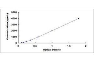 CRP ELISA Kit
