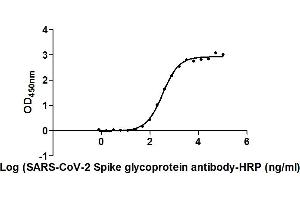 Image no. 1 for anti-SARS-CoV-2 Spike S1 antibody (HRP) (ABIN6953153)