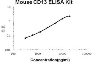 Image no. 1 for Alanyl (Membrane) Aminopeptidase (ANPEP) ELISA Kit (ABIN1889386)