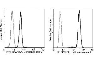 Image no. 1 for anti-SPARC-Like 1 (Hevin) (SPARCL1) (AA 1-664) antibody (FITC) (ABIN1995521)