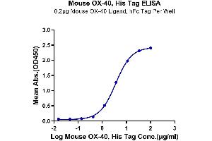 Immobilized Mouse OX-40 Ligand, hFc Tag at 2 μg/mL (100 μL/well) on the plate.