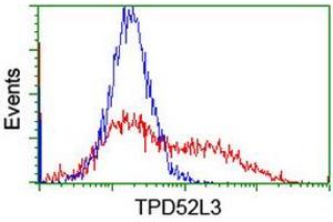 Image no. 10 for anti-Tumor Protein D52-Like 3 (TPD52L3) antibody (ABIN1501475)