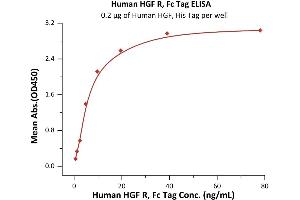 Immobilized Human HGF, His Tag (ABIN6973095) at 2 μg/mL (100 μL/well) can bind Human HGF R, Fc Tag (ABIN2180661,ABIN2180662) with a linear range of 0.