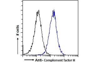 Image no. 3 for anti-Complement Factor H (CFH) (Internal Region) antibody (ABIN185437)