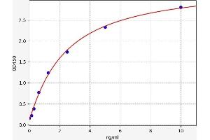 beta Catenin ELISA Kit
