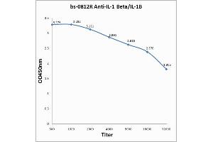 Image no. 2 for anti-Interleukin 1, beta (IL1B) (AA 101-200) antibody (ABIN728503)