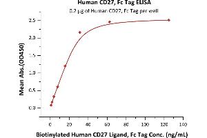 Immobilized Human CD27, Fc Tag (ABIN2180735,ABIN2180734) at 2 μg/mL (100 μL/well) can bind Biotinylated Human CD27 Ligand, Fc Tag (ABIN5674589,ABIN6253685) with a linear range of 1-31 ng/mL (QC tested).