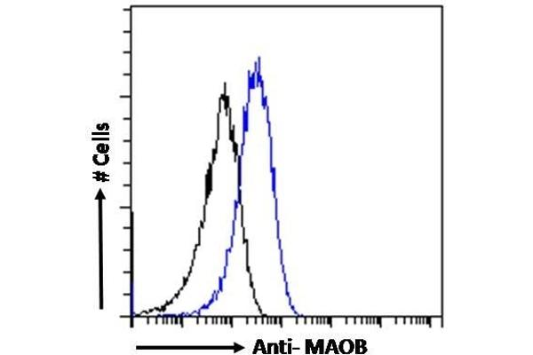 anti-Monoamine Oxidase B (MAOB) (Internal Region) antibody