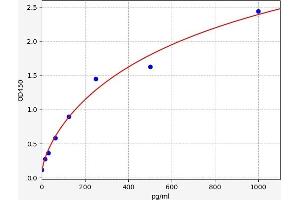 Image no. 1 for Transforming Growth Factor, alpha (TGFA) ELISA Kit (ABIN6970787)