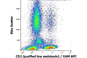 Image no. 1 for anti-CD2 (CD2) antibody (ABIN2749021)