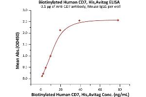 Image no. 1 for CD7 (CD7) (AA 26-180) (Active) protein (His tag,AVI tag,Biotin) (ABIN6973016)