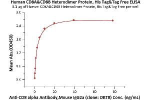 Image no. 2 for CD8 (CD8) (AA 22-182) (Active) protein (His tag) (ABIN7013442)