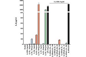 FIL1d Protein (AA 3-156)