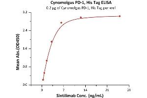 Immobilized Cynomolgus PD-1, His Tag (ABIN2181622,ABIN2181621) at 2 μg/mL (100 μL/well) can bind Sintilimab with a linear range of 0.