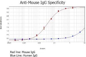 Rabbit anti-Mouse IgG (Heavy & Light Chain) Antibody - Preadsorbed