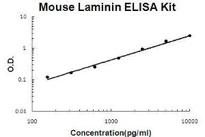 Mouse Laminin PicoKine ELISA Kit standard curve