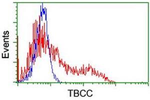 Image no. 1 for anti-Tubulin Folding Cofactor C (TBCC) antibody (ABIN2733282)