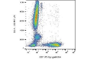 Image no. 2 for anti-CD7 (CD7) antibody (PE-DyLight 594) (ABIN2749134)