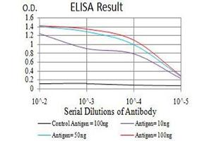 Image no. 2 for anti-Aurora Kinase A (AURKA) (AA 268-404) antibody (ABIN5611122)