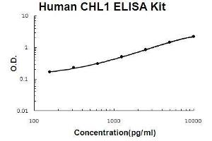 Image no. 1 for Cell Adhesion Molecule with Homology To L1CAM (Close Homolog of L1) (CHL1) ELISA Kit (ABIN5510733)