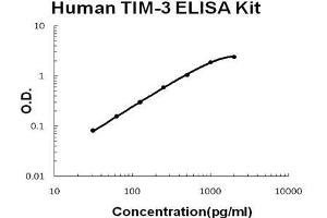 Hepatitis A Virus Cellular Receptor 2 (TIM 3) ELISA Kit
