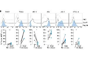 Image no. 1 for anti-Lymphocyte-Activation Gene 3 (LAG3) (N-Term) antibody (ABIN1169105)