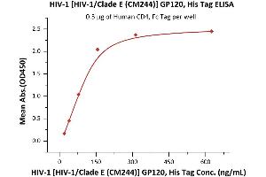 Immobilized Human CD4, Fc Tag (ABIN2180789,ABIN2180788) at 5 μg/mL (100 μL/well) can bind HIV-1 [HIV-1/Clade E (CM244)] GP120, His Tag (3) with a linear range of 20-156 ng/mL (QC tested).