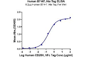 ELISA image for HERV-H LTR-Associating 2 (HHLA2) protein (His tag) (ABIN7273956)