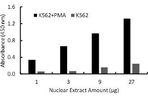 Activity Assay (AcA) image for FOS-Like Antigen 1 (FOSL1) ELISA Kit (ABIN5690753)