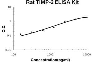 Rat TIMP-2 PicoKine ELISA Kit standard curve